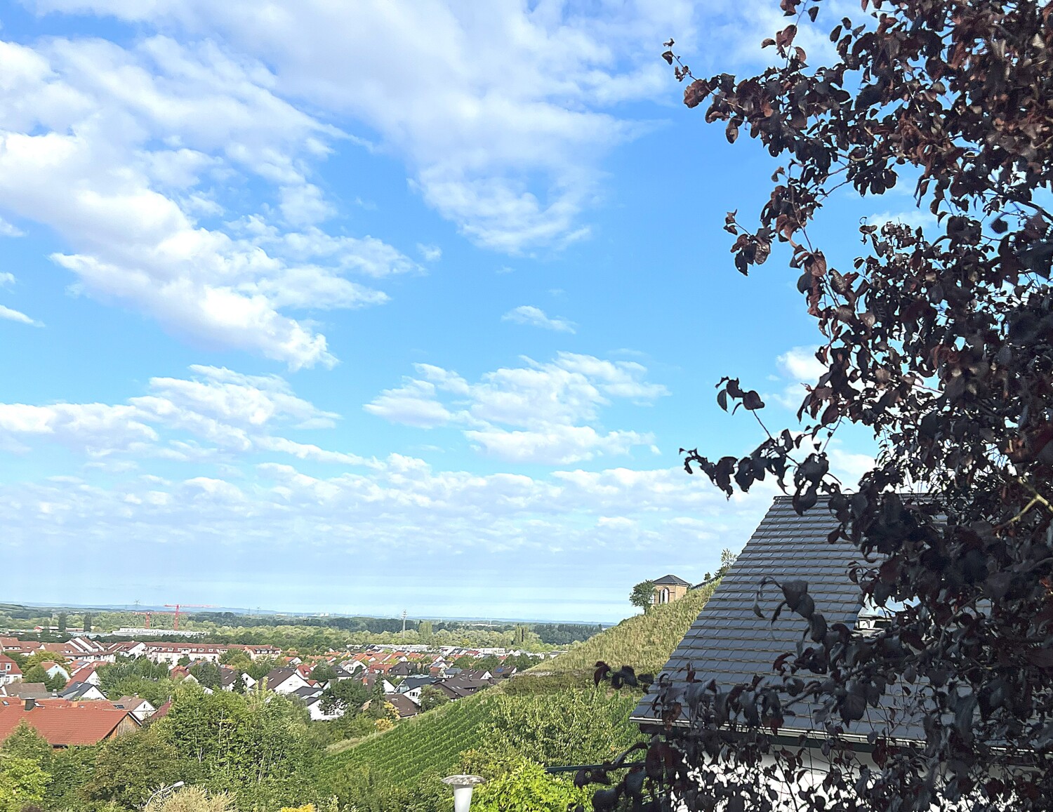 Fantastischer Blick in die Rheinebene und die Weinberge