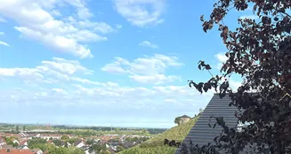 von_poll_real_estate_property_25133841_image_10