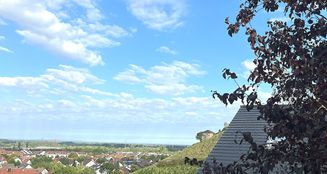 von_poll_real_estate_property_25133841_image_11