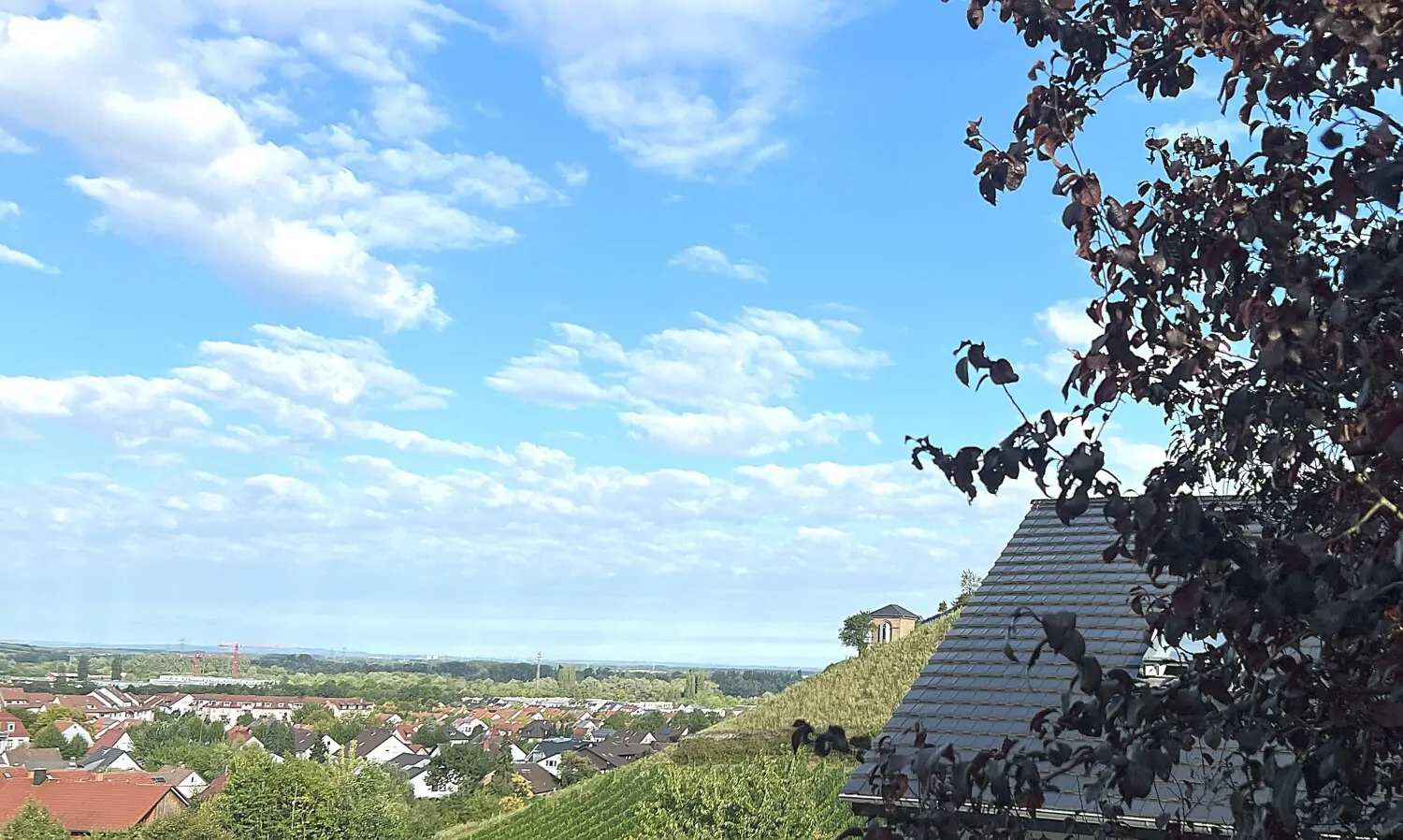 Fantastischer Blick in die Rheinebene und die Weinberge