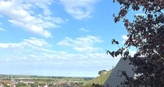 von_poll_real_estate_property_25133841_image_13