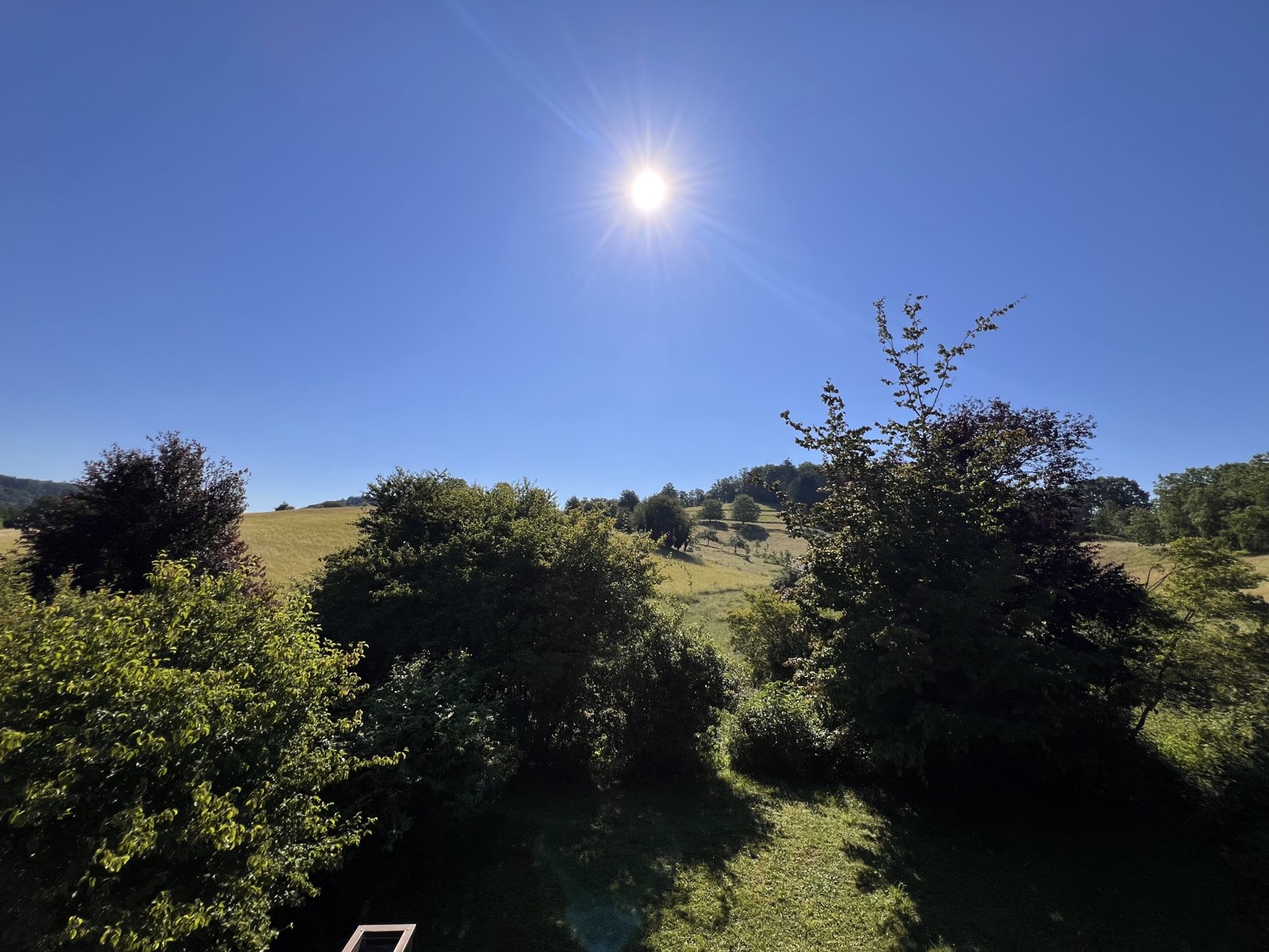 Traumhafter Ausblick ins Grüne