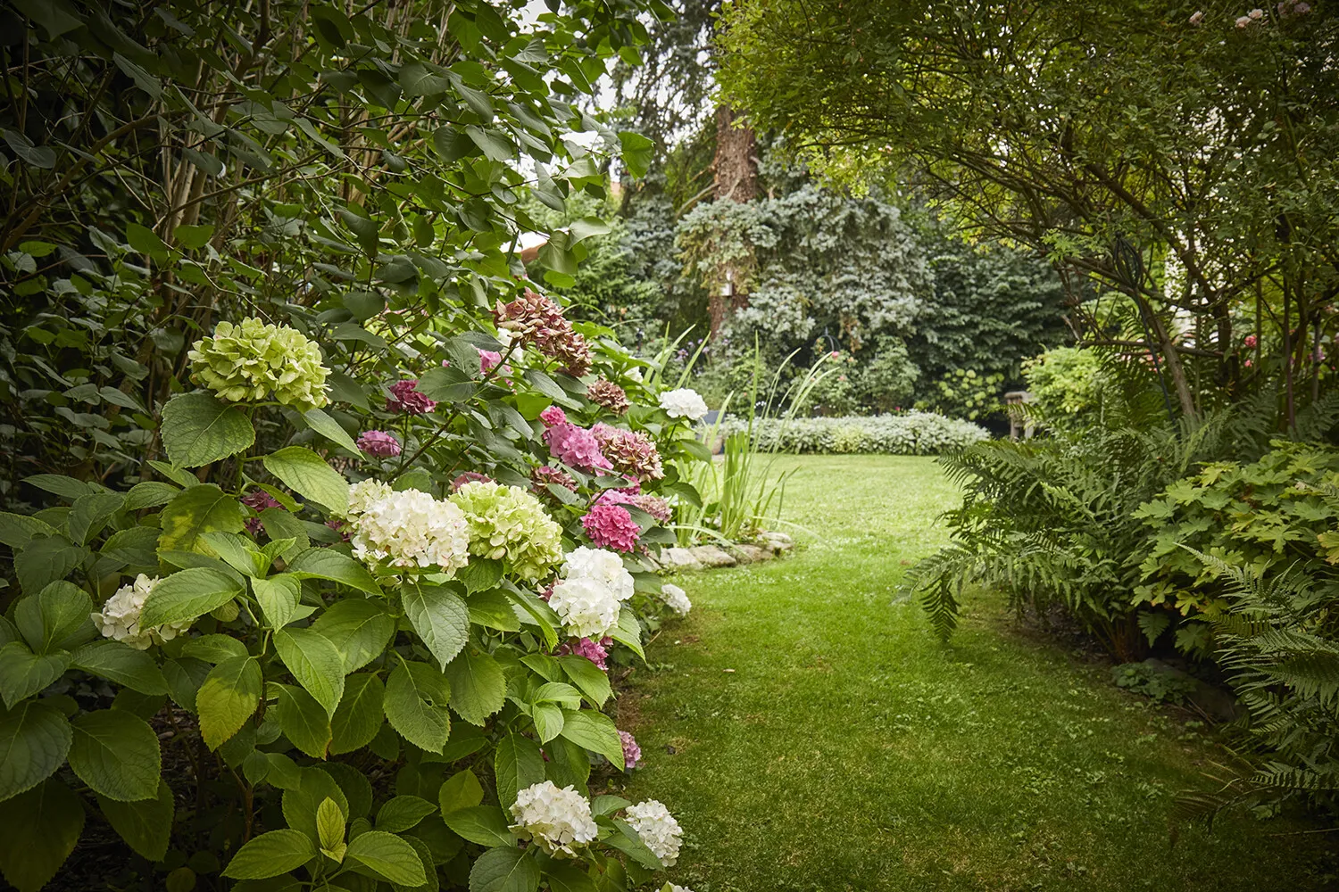 _Ruhe pur im eingewachsenen Garten
