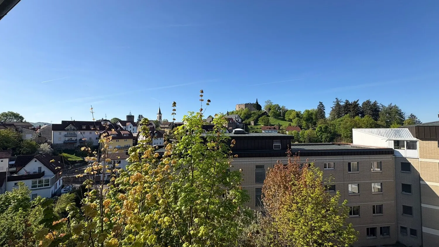 Ausblick auf die Burg