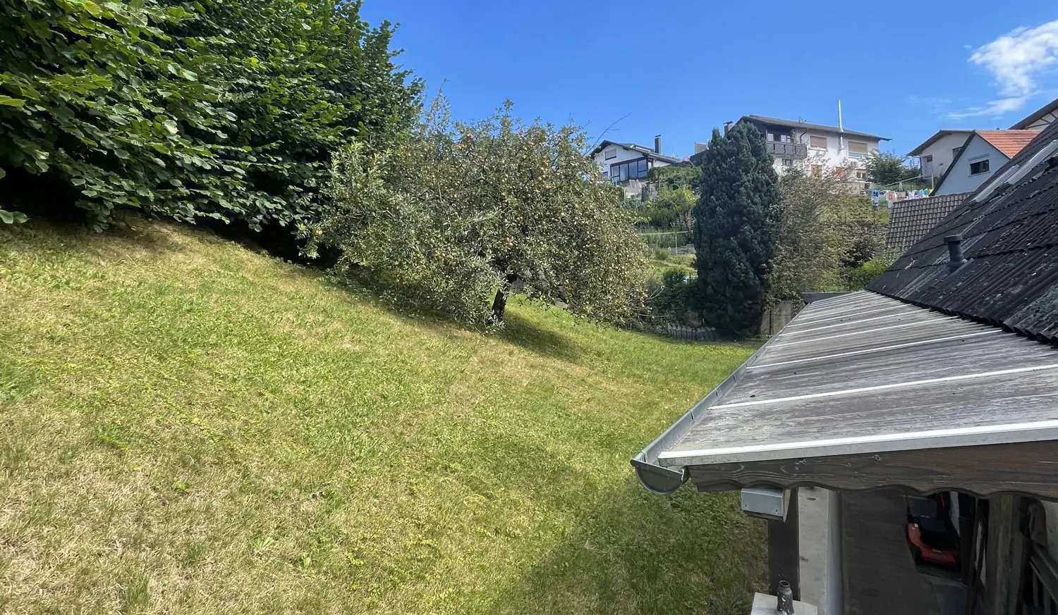 Rasenflächemit Apfelbaum hinter dem Haus