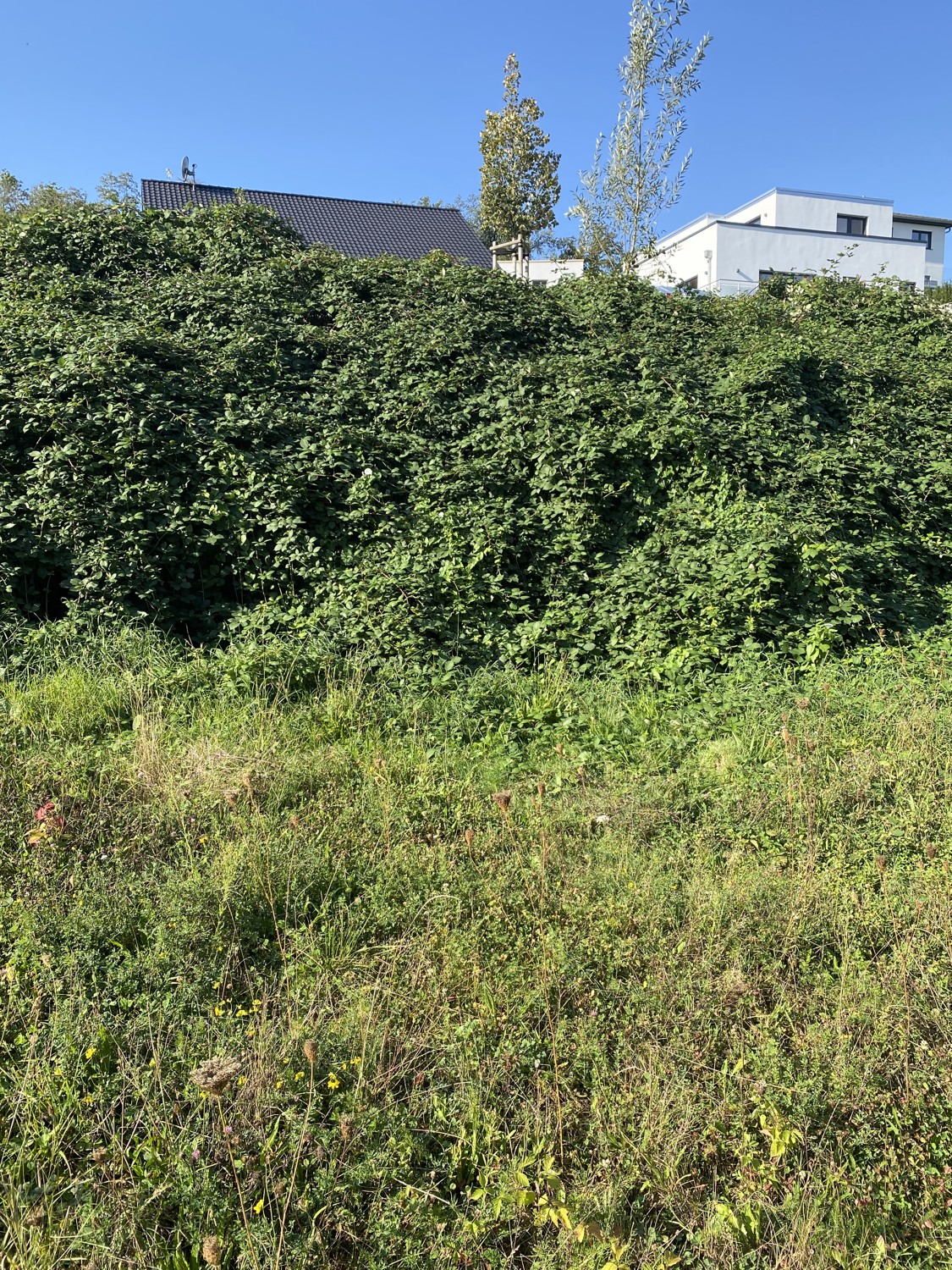 Baugrundstück in schöner Lage von Birkenau!