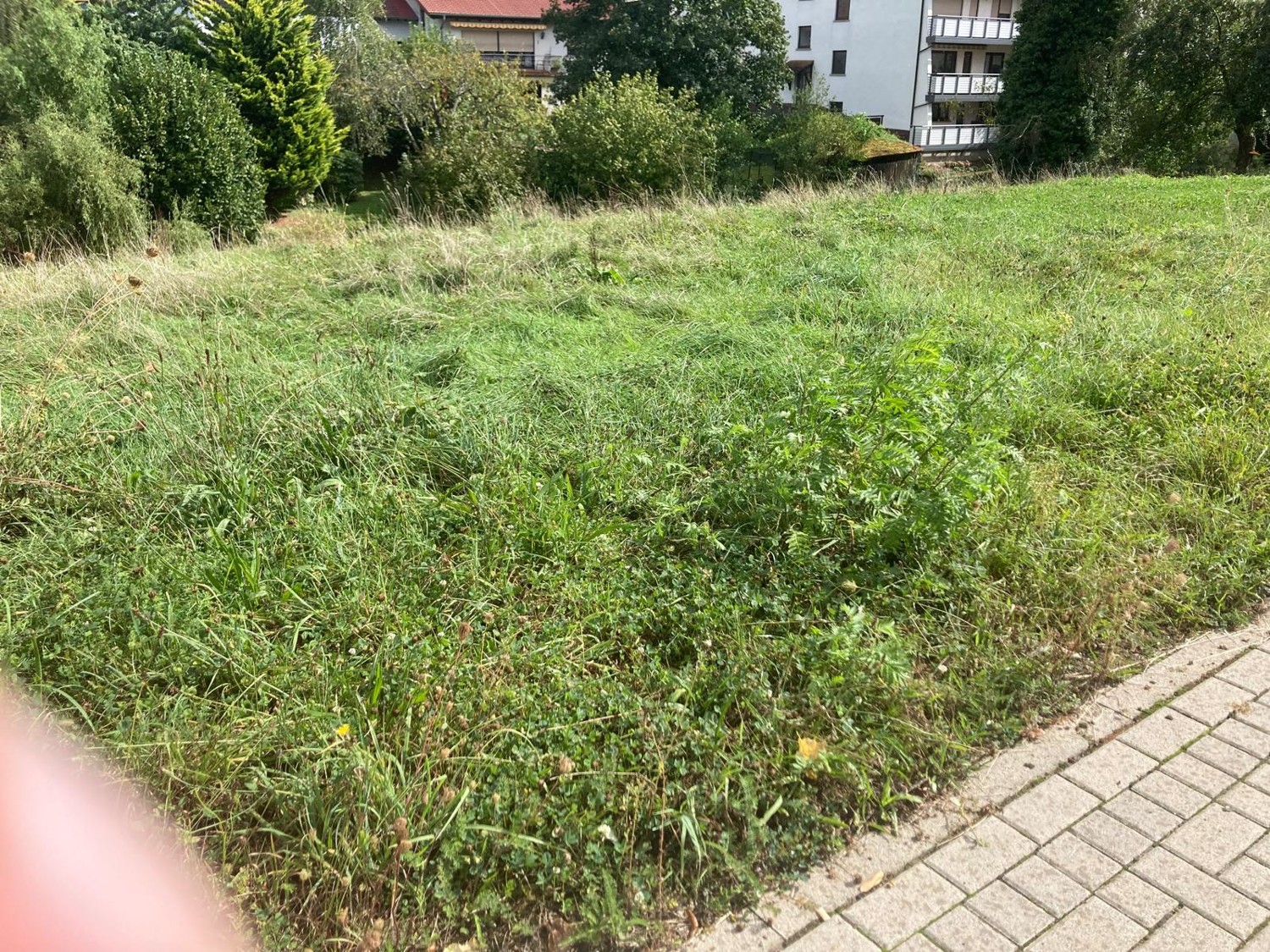 Baugrundstück in schöner Lage von Birkenau!