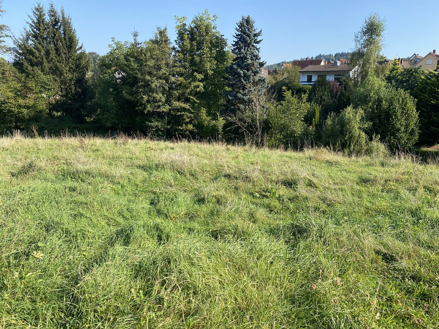 Baugrundstück in schöner Lage von Birkenau!