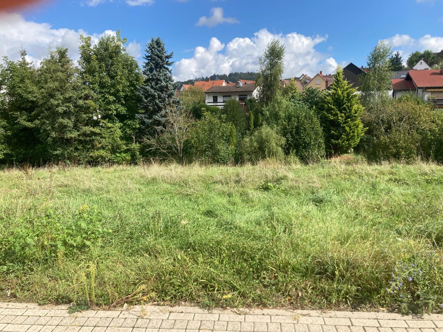 Baugrundstück in schöner Lage von Birkenau!