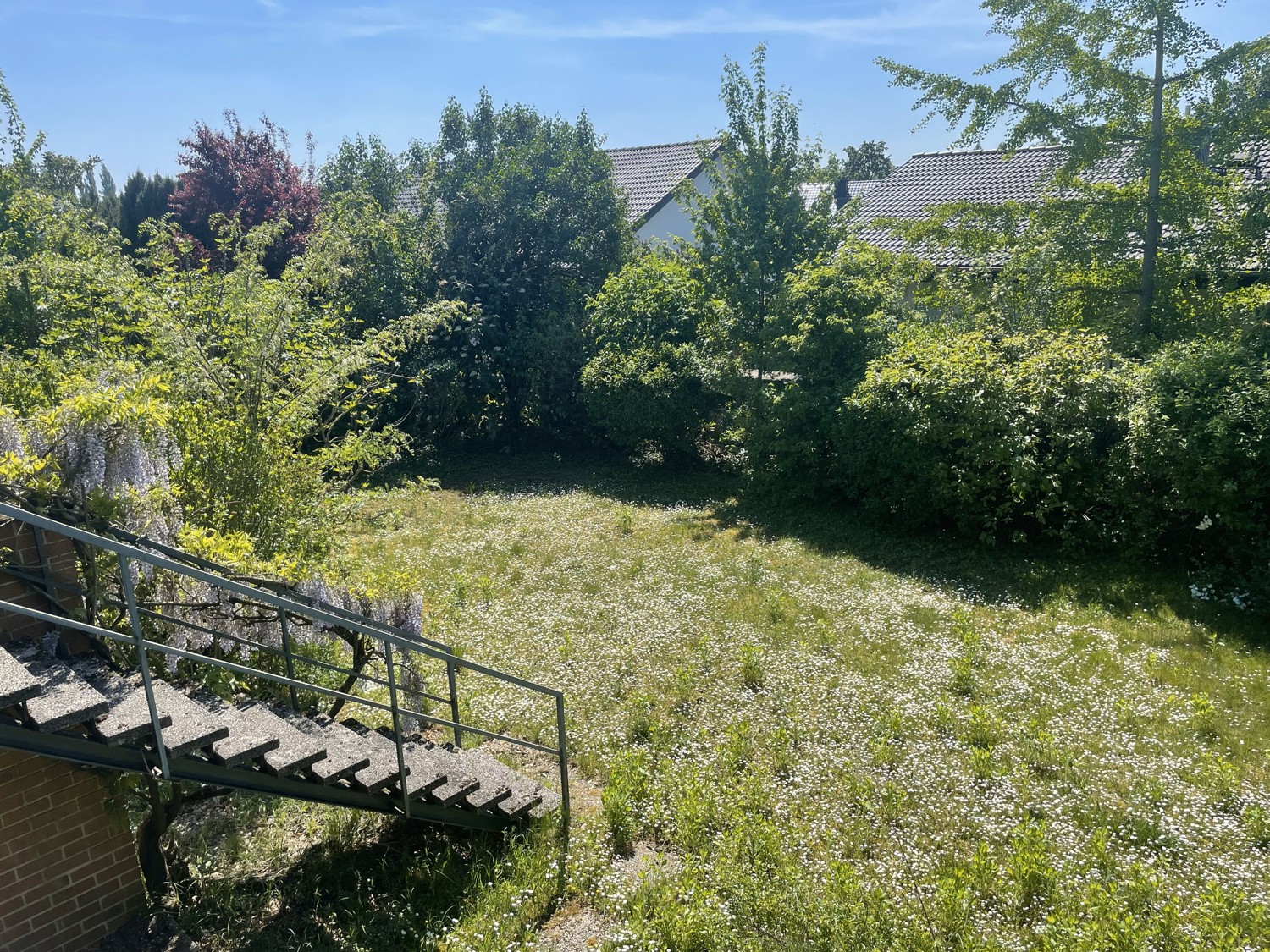 ...Blick in den Garten