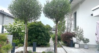 von_poll_real_estate_property_25133810_image_5