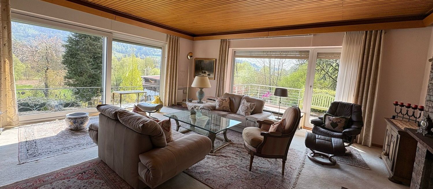 Wohnzimmer 1