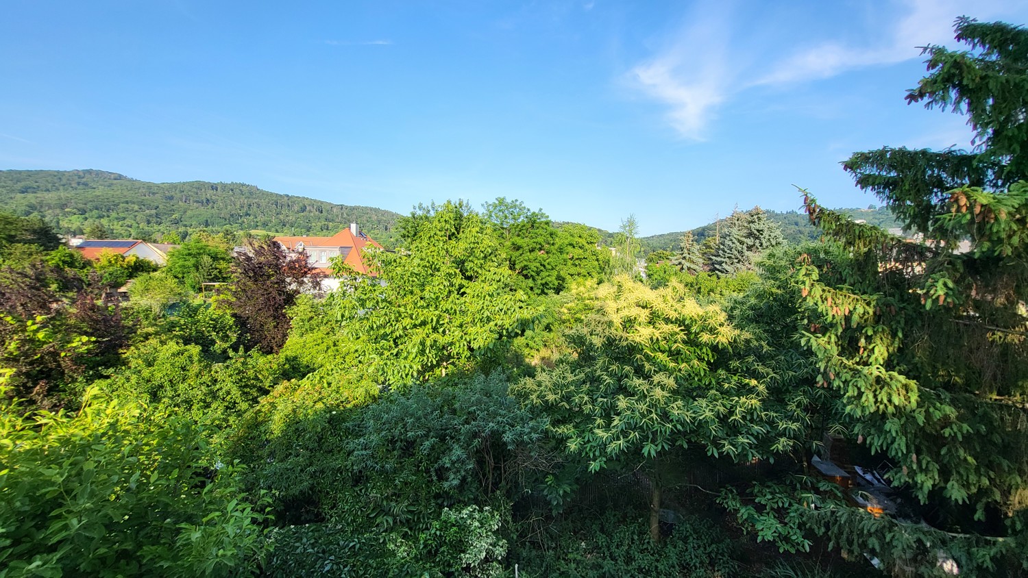 Ringsherum ein toller Blick ins Grüne