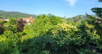 von_poll_real_estate_property_25133818_image_15
