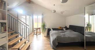 von_poll_real_estate_property_25133826_image_10