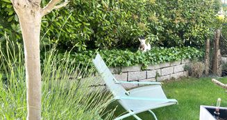 von_poll_real_estate_property_25133826_image_4