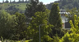 von_poll_real_estate_property_25133832_image_2