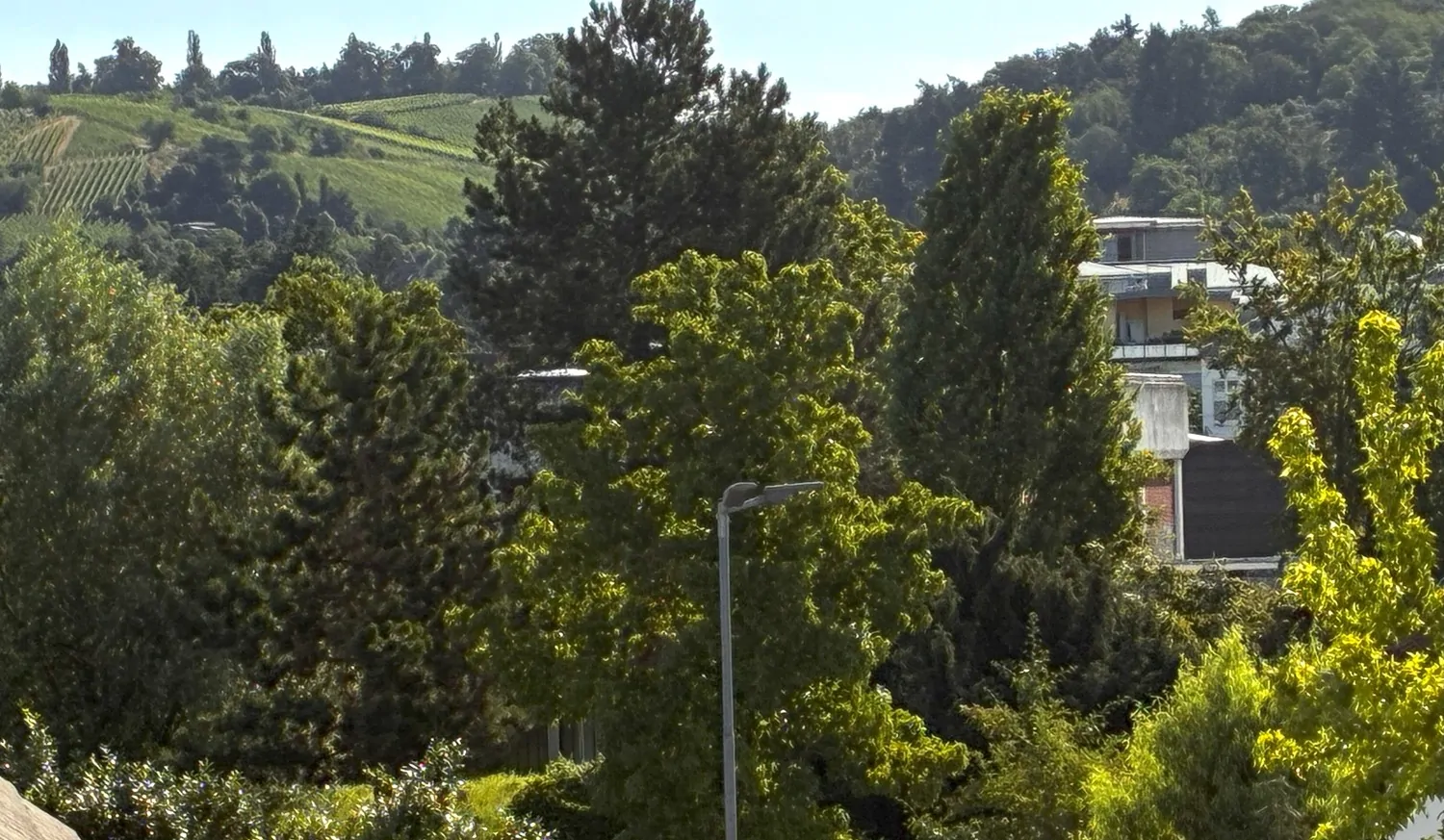 ...wunderschönem Blick