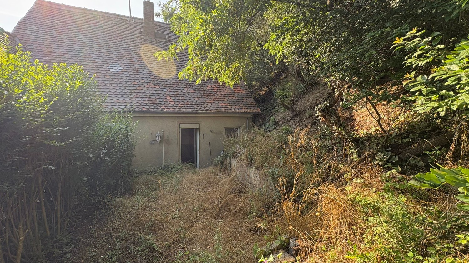 Hausansicht Garten