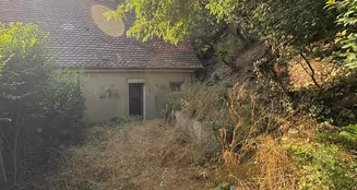 von_poll_real_estate_property_25133827_image_4