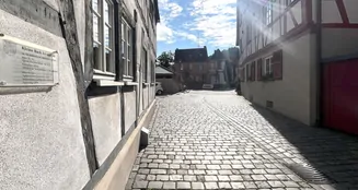 von_poll_real_estate_property_25133840_image_3