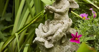 von_poll_real_estate_property_25133844_image_10