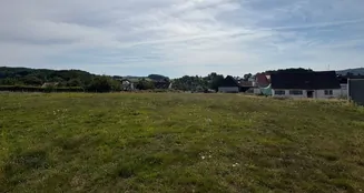 von_poll_real_estate_property_25133846_image_4