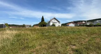 von_poll_real_estate_property_25133846_image_3