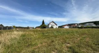 von_poll_real_estate_property_25133846_image_3