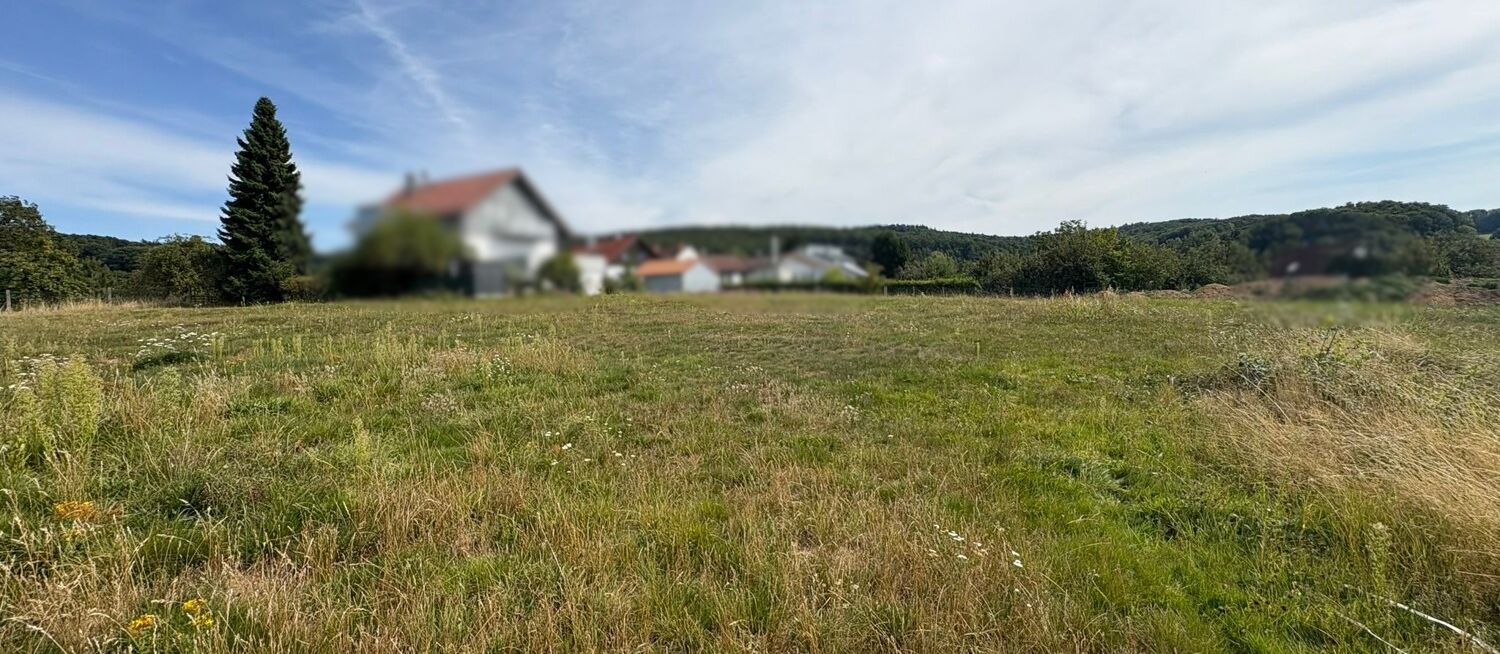 Ansicht 1