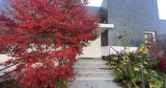 von_poll_real_estate_property_25133852_image_1