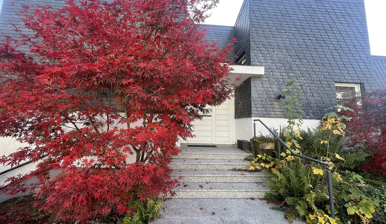 Repräsentative Vorderansicht