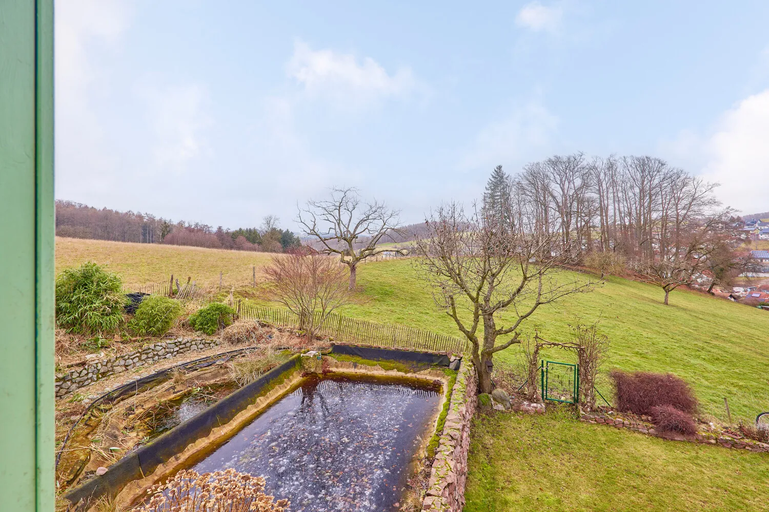 Schwimmteich und Garten