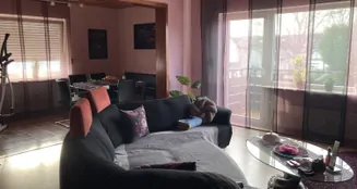 von_poll_real_estate_property_25133860_image_3