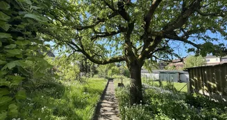 von_poll_real_estate_property_26133883_image_3