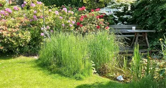 von_poll_real_estate_property_25203045_image_5