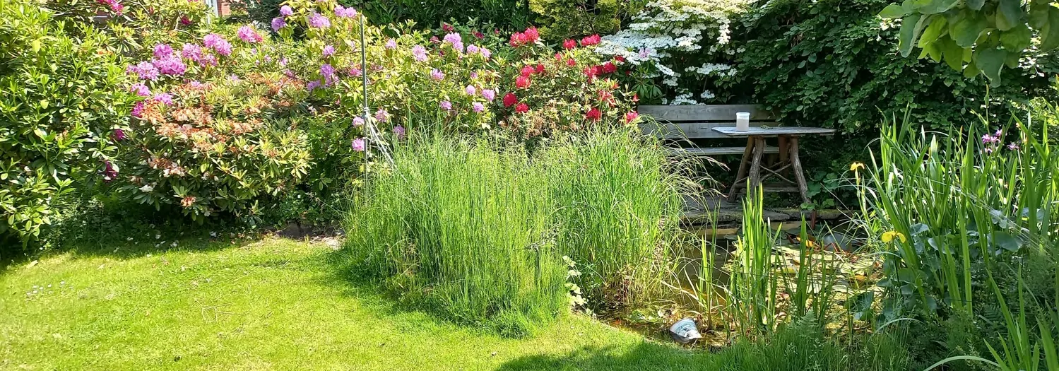 Garten und Teich