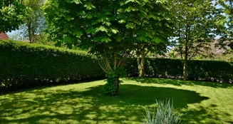 von_poll_real_estate_property_25203019_image_3