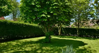 von_poll_real_estate_property_25203019_image_3