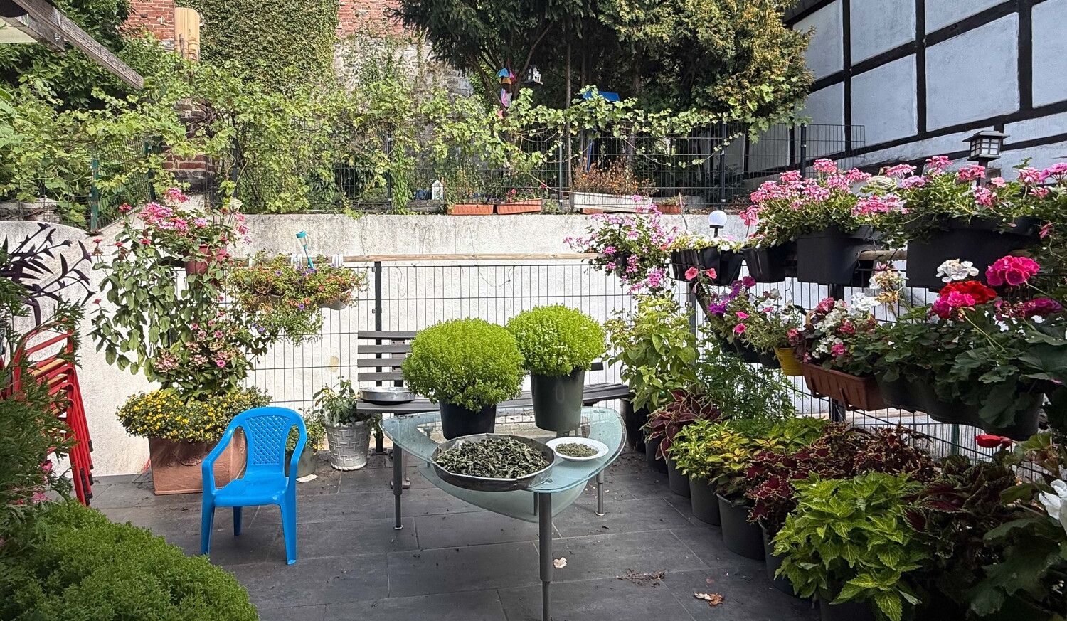 Garten
