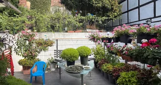 von_poll_real_estate_property_25167013_image_3