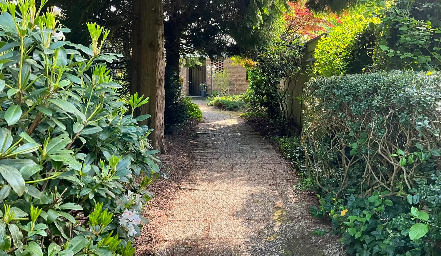 Zuwegung mit Blick zum Haus