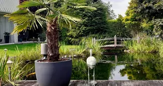 von_poll_real_estate_property_25174018_image_8