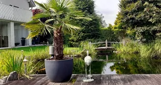 von_poll_real_estate_property_25174018_image_8