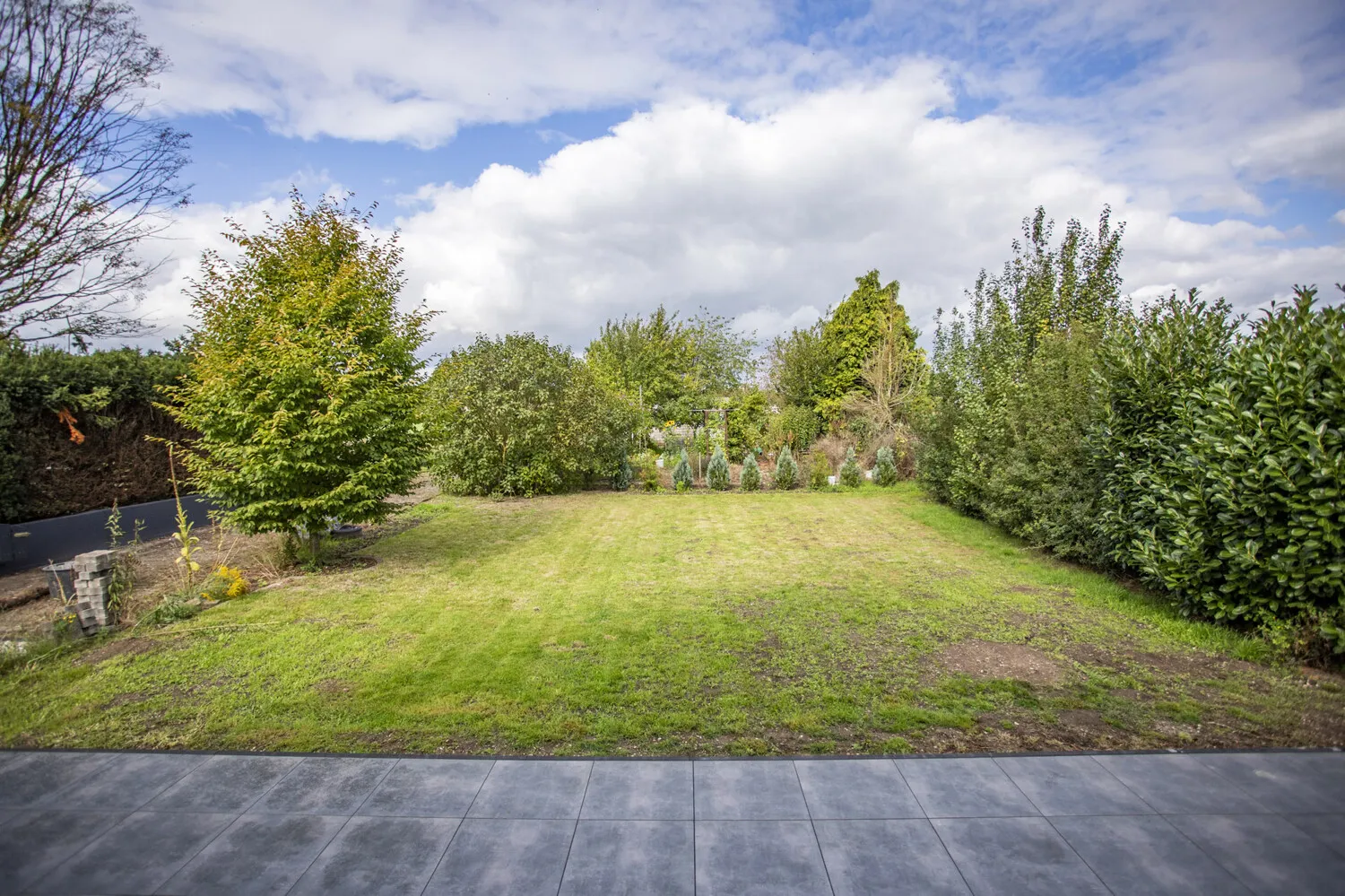 Blick in den Garten
