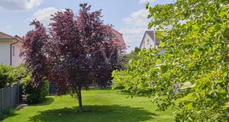 von_poll_real_estate_property_25005031_image_24