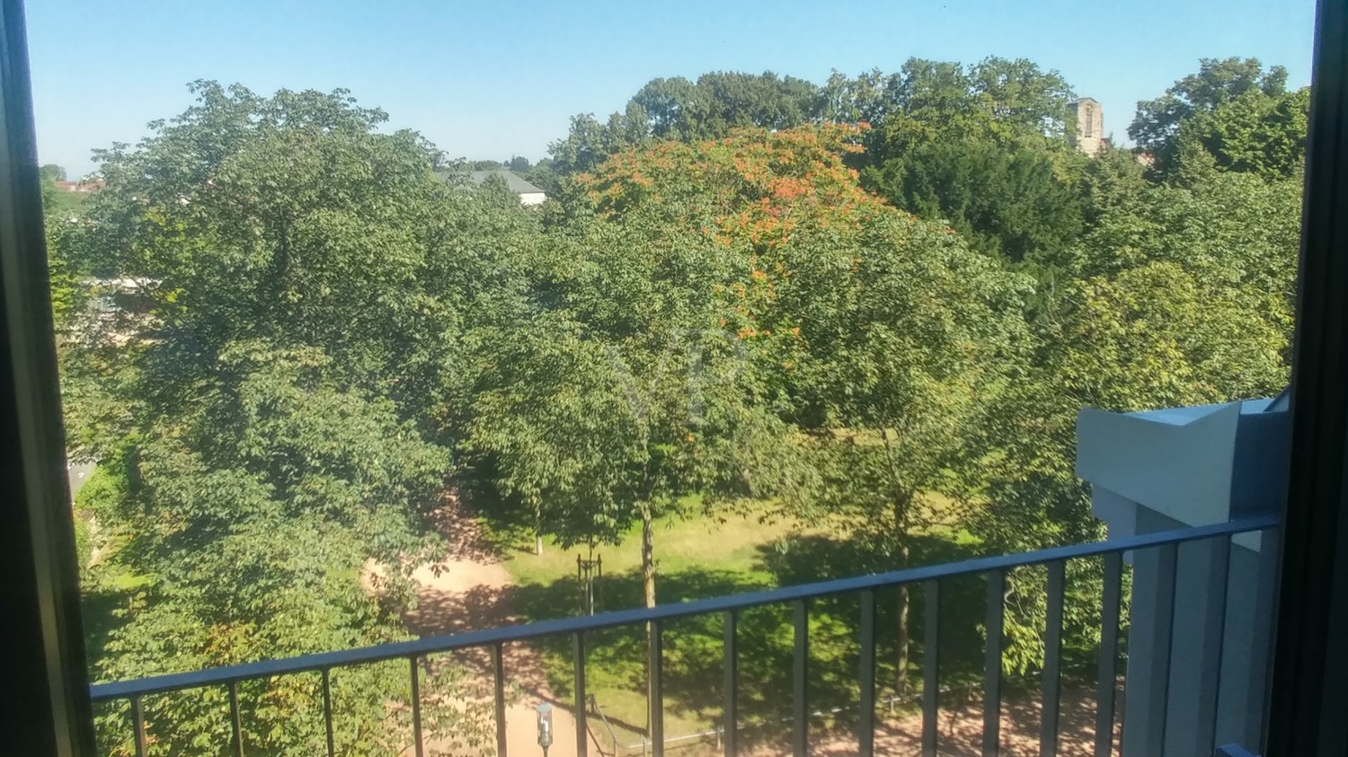 Ausblick auf die Orangerie