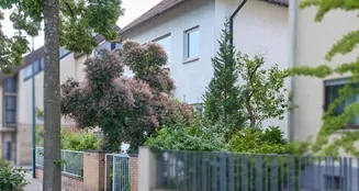 von_poll_real_estate_property_25005033_image_23