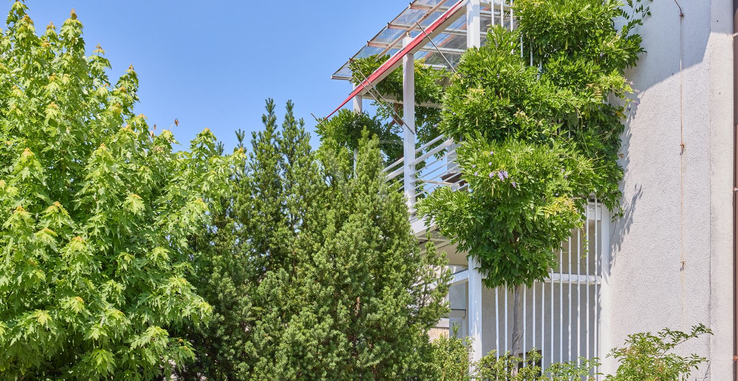 Eingewachsener Westbalkon