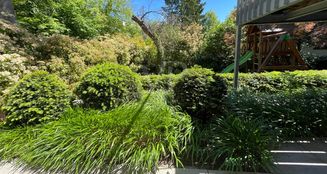 von_poll_real_estate_property_25005004_image_22